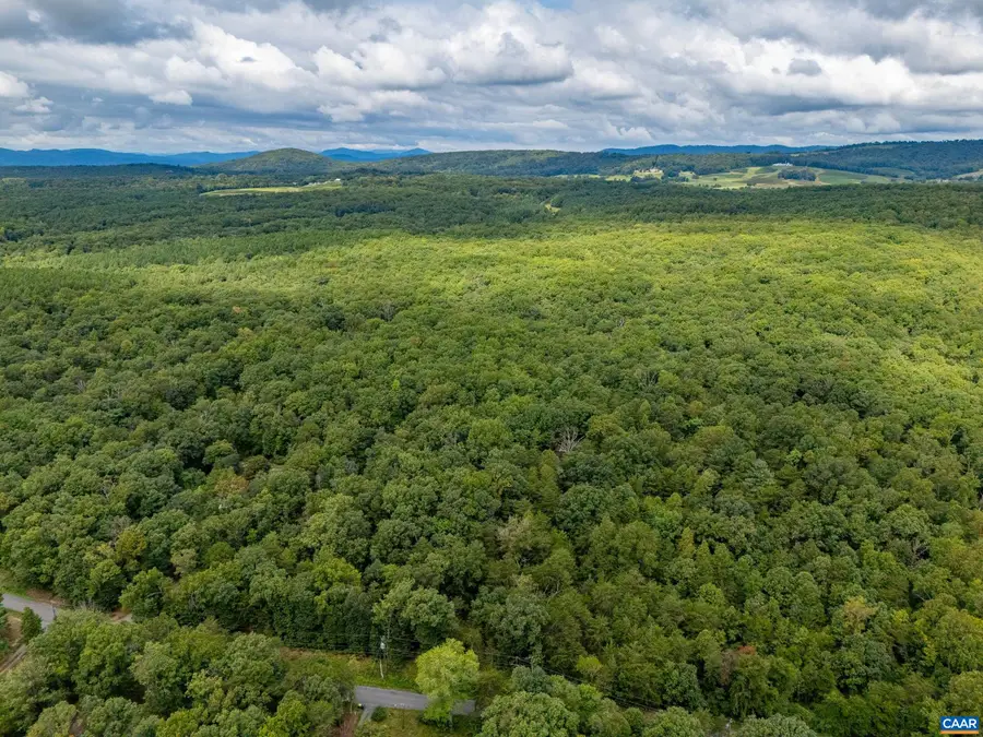 19.54 AC Presidents Rd, Scottsville, VA 24590 - #2