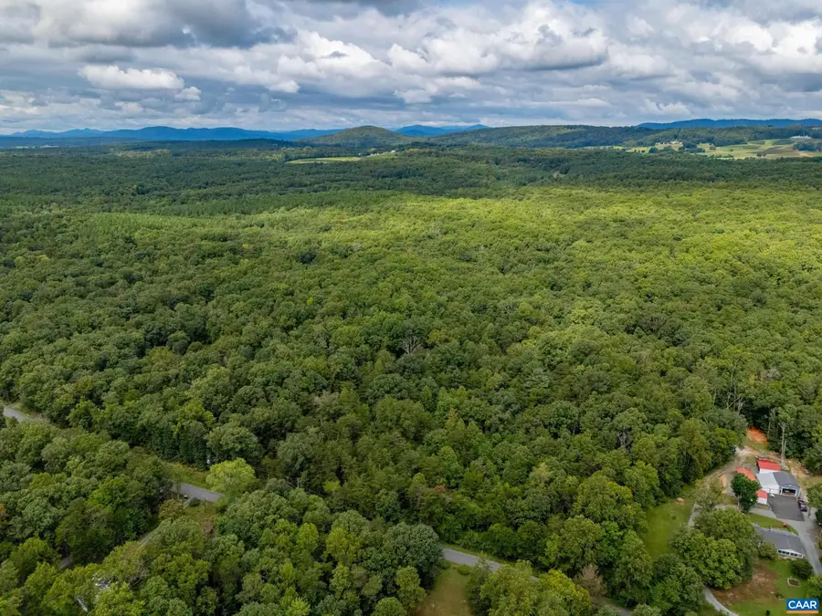 19.54 AC Presidents Rd, Scottsville, VA 24590 - #3