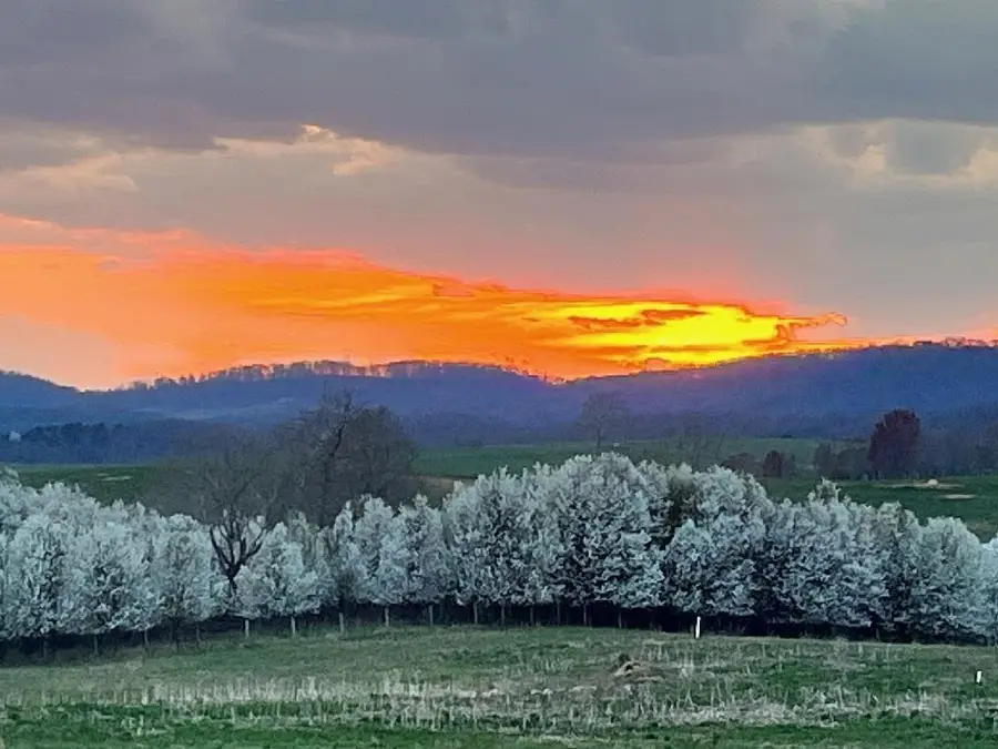 454 Guthrie Rd, Stuarts Draft, VA 24477 - Image #2