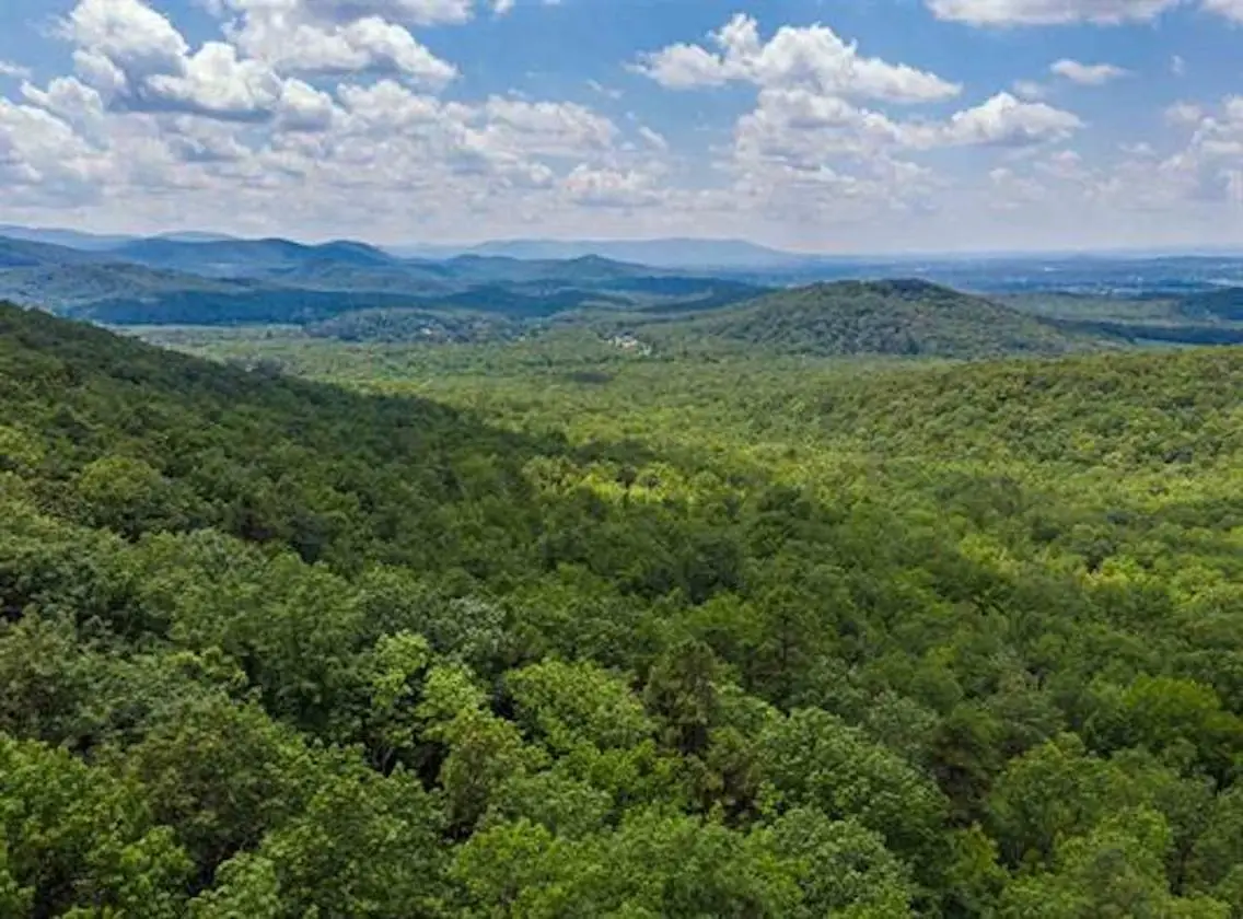 TBD Fox Run Ln, Waynesboro, VA 22980 - Image #1