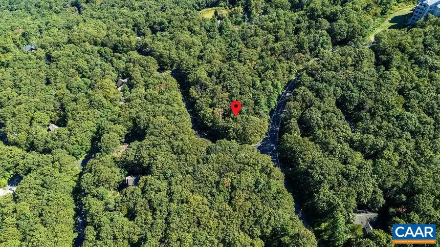 862 Shamokin Springs Trl, Wintergreen Resort, VA 22967 - #2