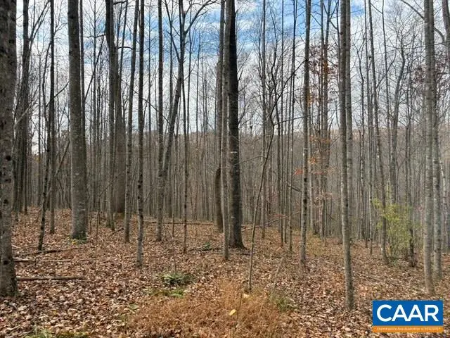 TM 23-5A Mitchell Mountain Rd, Haywood, VA 22722 - #1