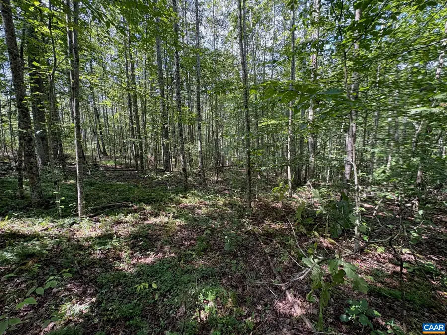 TM 23-5A Mitchell Mountain Rd, Haywood, VA 22722 - #3