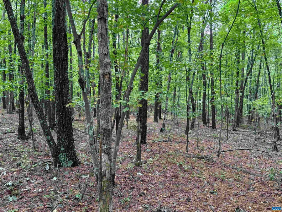 0 Meadow Creek Rd, Wingina, VA 24599 - #3