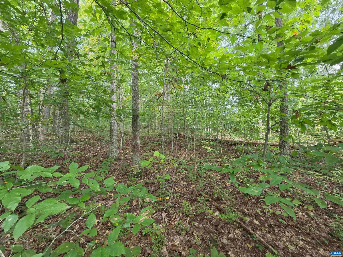 230 Beech Nut Dr, Louisa, VA 23093 - #1