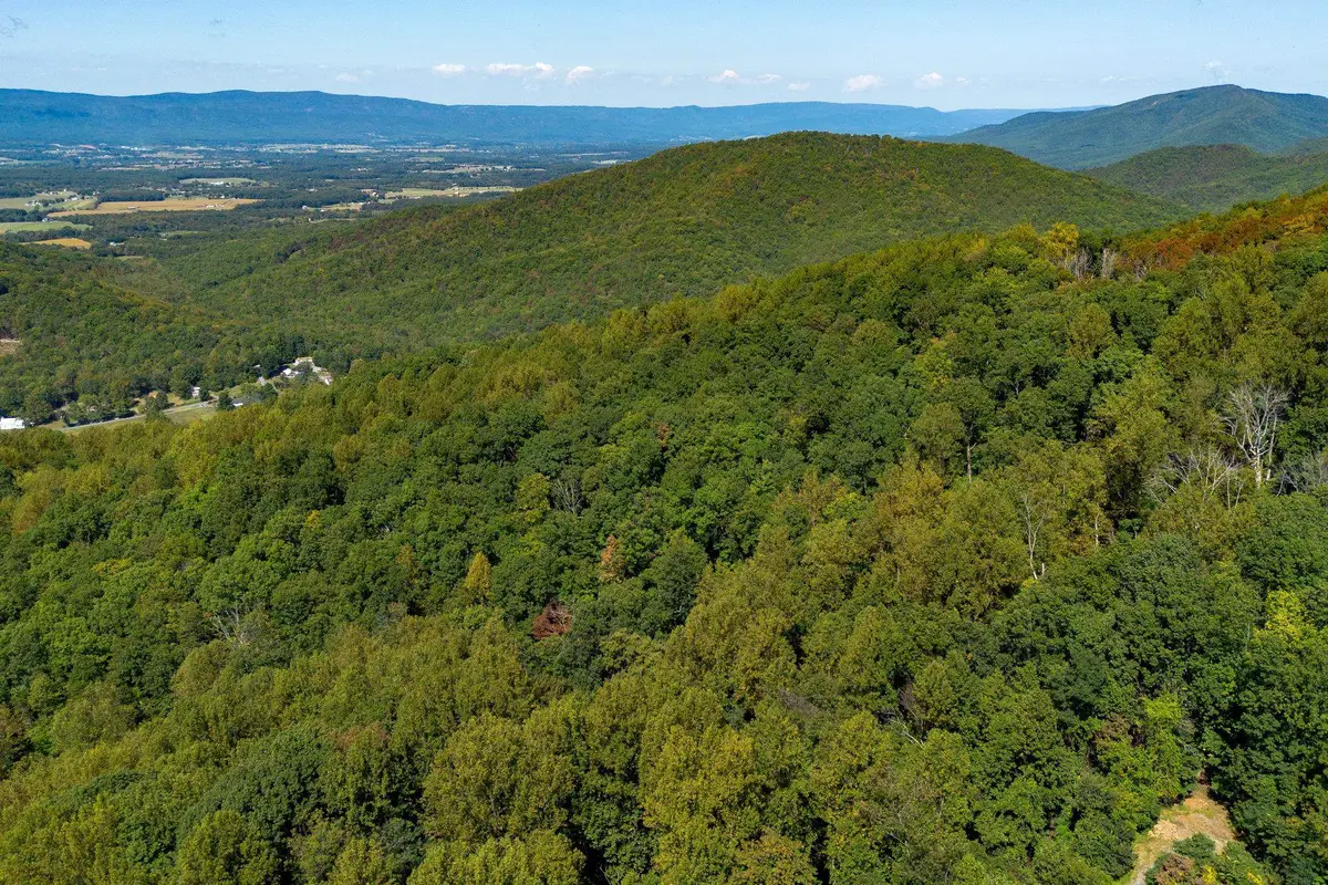 TBD Forest Homes Dr, Elkton, VA 22827 - #1