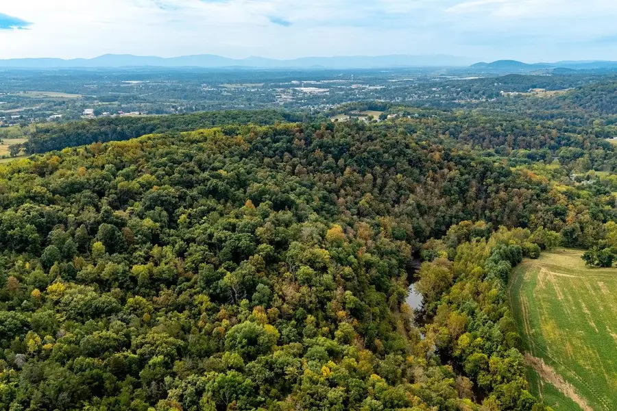 TBD Bald Rock Rd, Verona, VA 24482 - #3