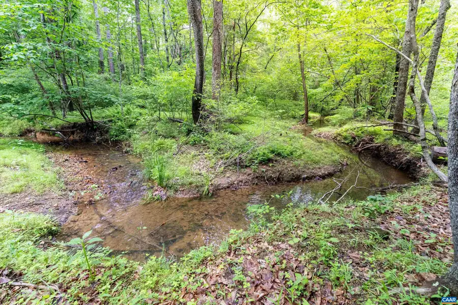 1309 Salem Rd, Schuyler, VA 22969 - #2