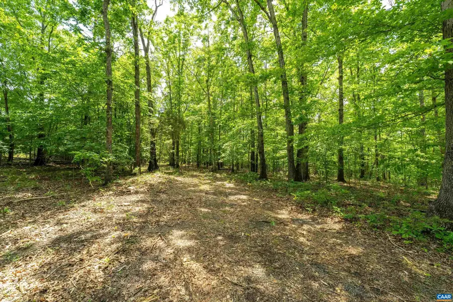 1309 Salem Rd, Schuyler, VA 22969 - #3