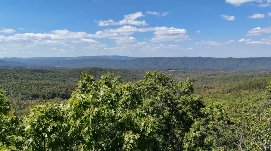 tbd Caddis Ln, Warm Springs, VA 24484 - #2