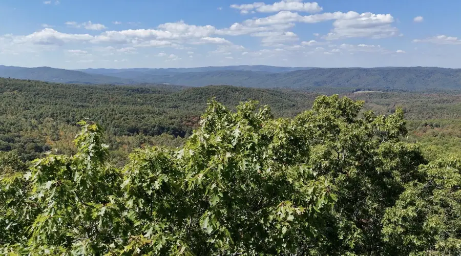 tbd Caddis Ln, Warm Springs, VA 24484 - #3