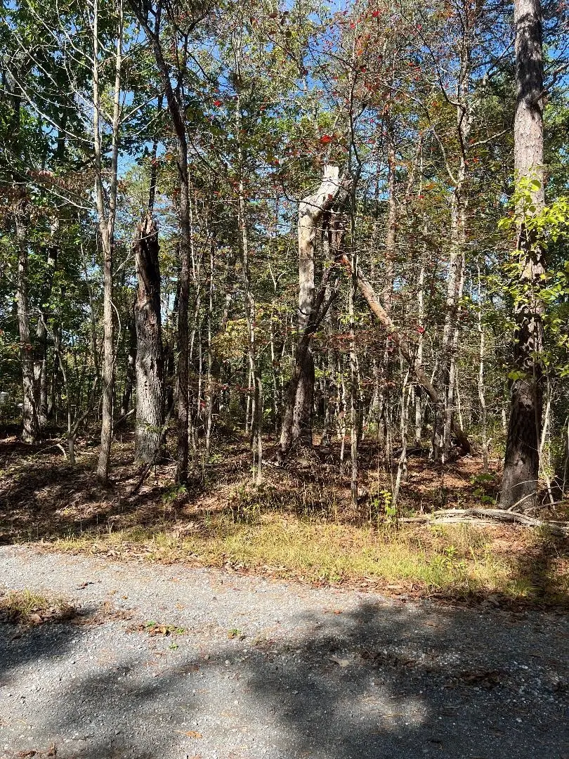 tbd Gerties Ln, Stuarts Draft, VA 24477 - Image #2