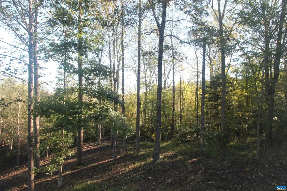 TBD Batesville Rd, Afton, VA 22920 - #1