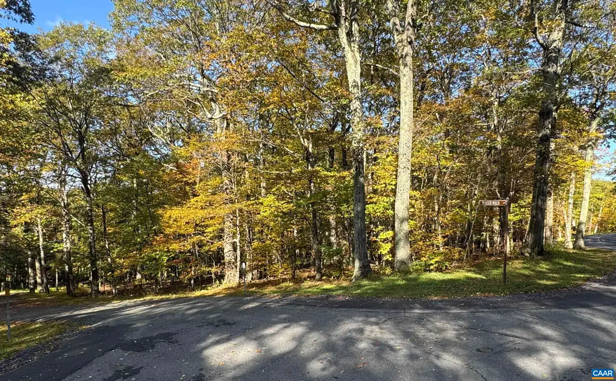 TBD Winter Wren Ln, Wintergreen Resort, VA 22967 - #1