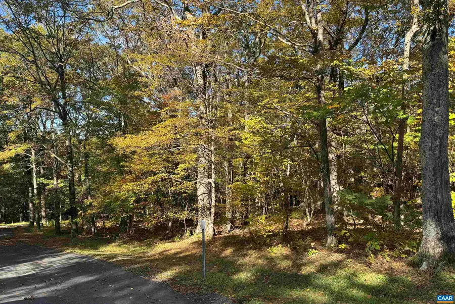 TBD Winter Wren Ln, Wintergreen Resort, VA 22967 - #2