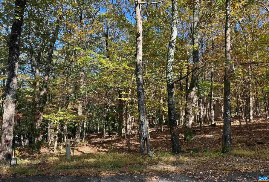 TBD Winter Wren Ln, Wintergreen Resort, VA 22967 - #3