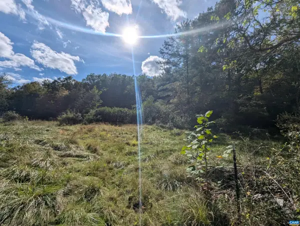 1376 Calf Mountain Rd, Waynesboro, VA 22980