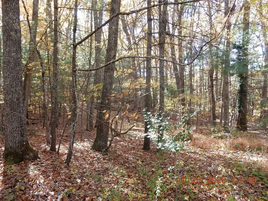 21 Shepherds Trl, Hot Springs, VA 24445 - #2