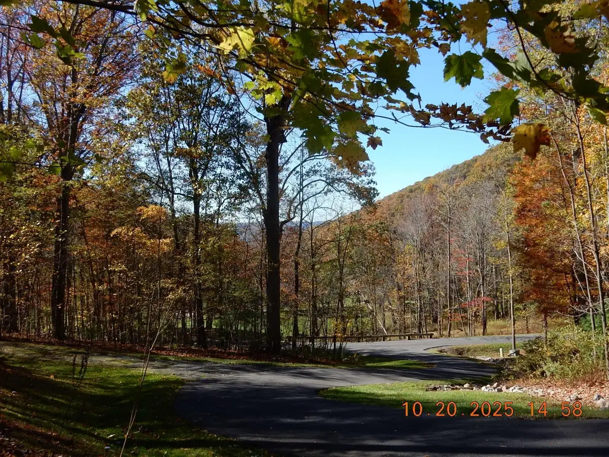 47 Quarry Hill Rd, Hot Springs, VA 24445 - #1