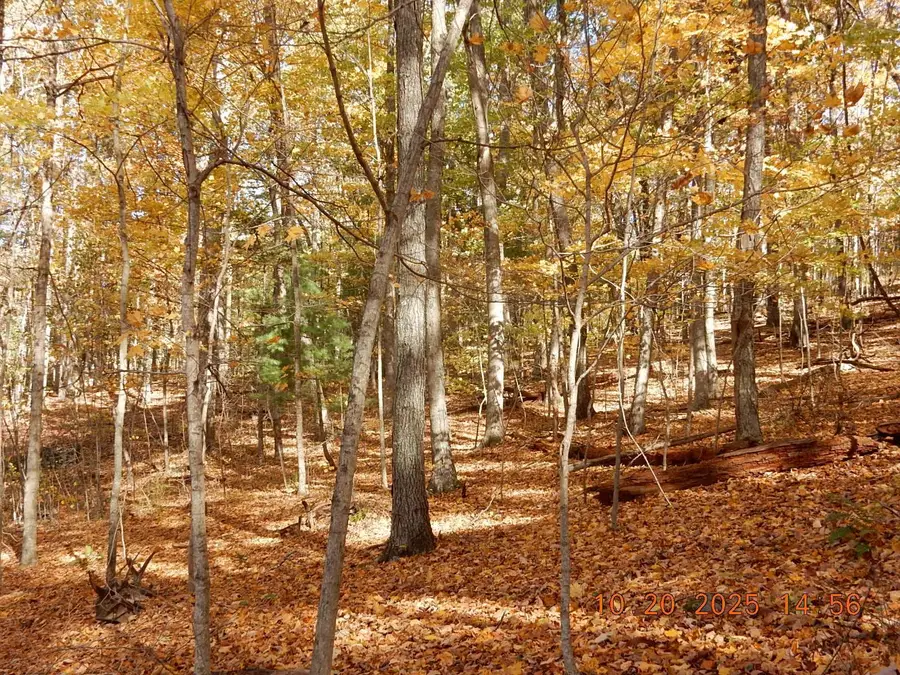 47 Quarry Hill Rd, Hot Springs, VA 24445 - #2