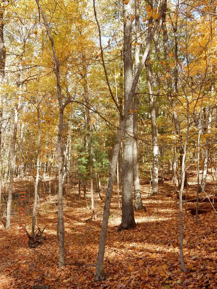 47 Quarry Hill Rd, Hot Springs, VA 24445 - #3