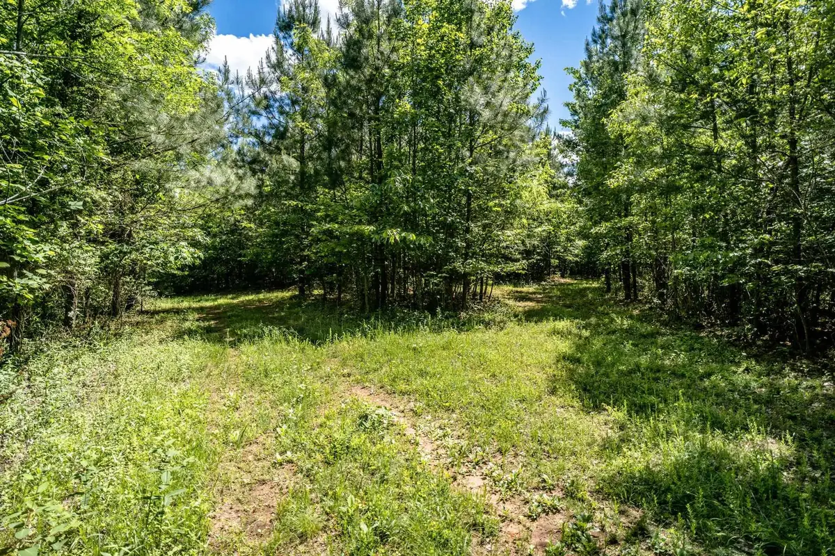 Lot 1 Green Creek Rd, Schuyler, VA 22969 - #1