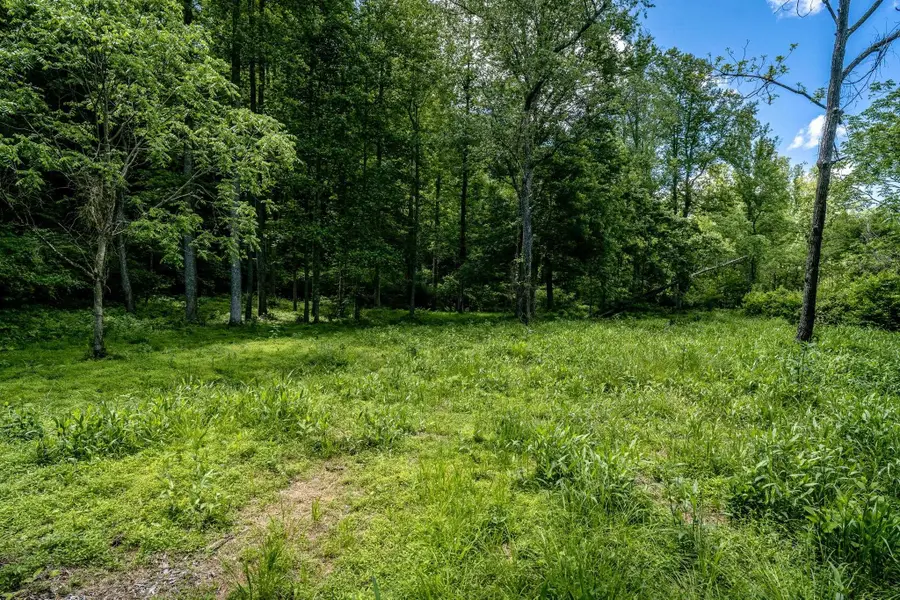 Lot 1 Green Creek Rd, Schuyler, VA 22969 - #2