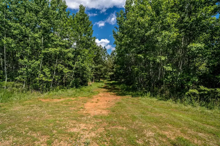 Lot 1 Green Creek Rd, Schuyler, VA 22969 - #3