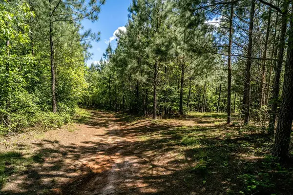 Lot 3 Green Creek Rd, Schuyler, VA 22969