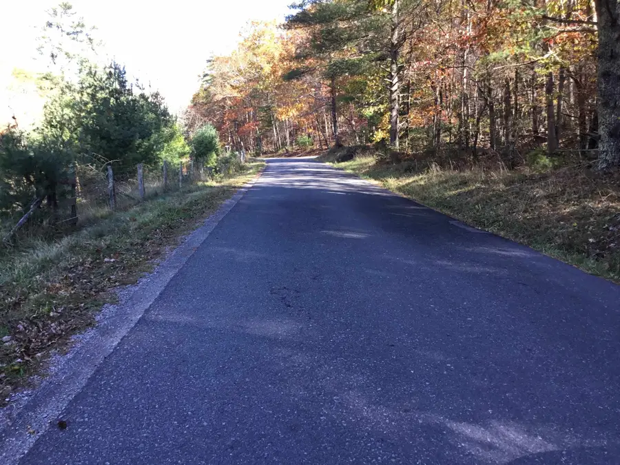 2817 Dry Run Rd, Franklin, WV 26807 - Image #3