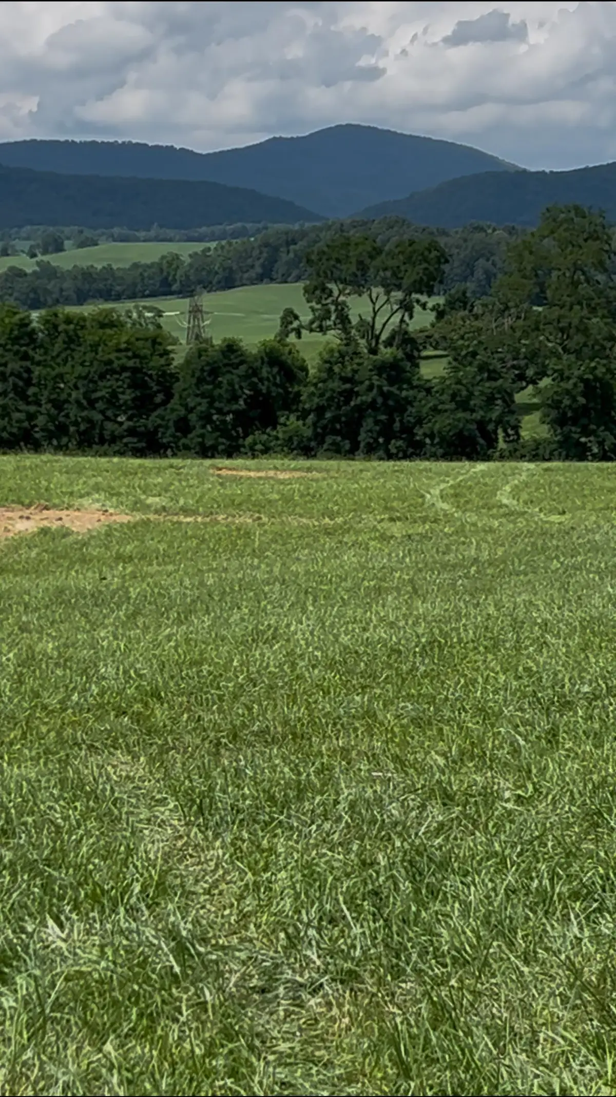 TBD Roudabush Ln, Churchville, VA 24421 - #1