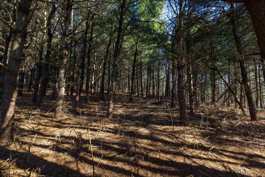 TBD Fairview Rd, Mount Crawford, VA 22841 - #2