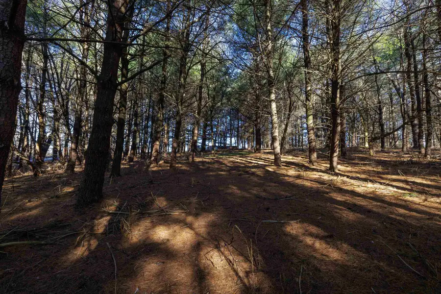 TBD Fairview Rd, Mount Crawford, VA 22841 - #3