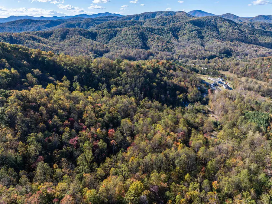 TBD Peaceful Ln, Lovingston, VA 22949 - #3