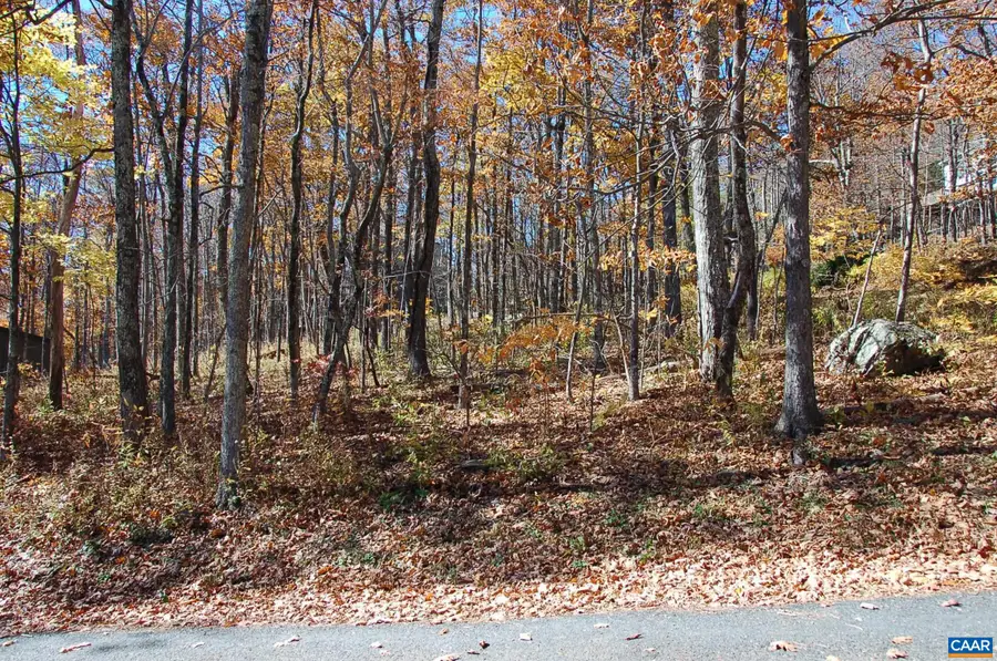 24 White Oak Ln, Wintergreen Resort, VA 22967 - Image #2