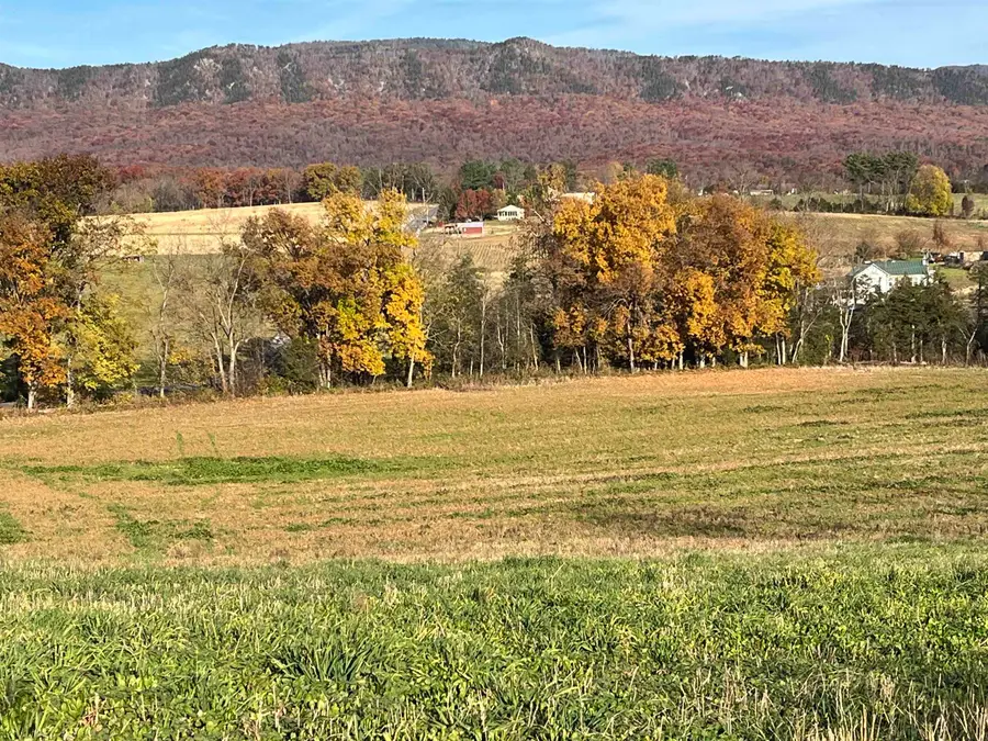 TBD Michael Ln, Elkton, VA 22827 - #2