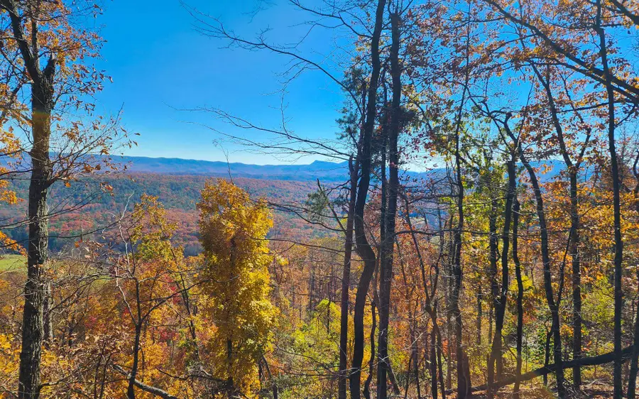 0 Big River Rd, Goshen, VA 24439 - #3