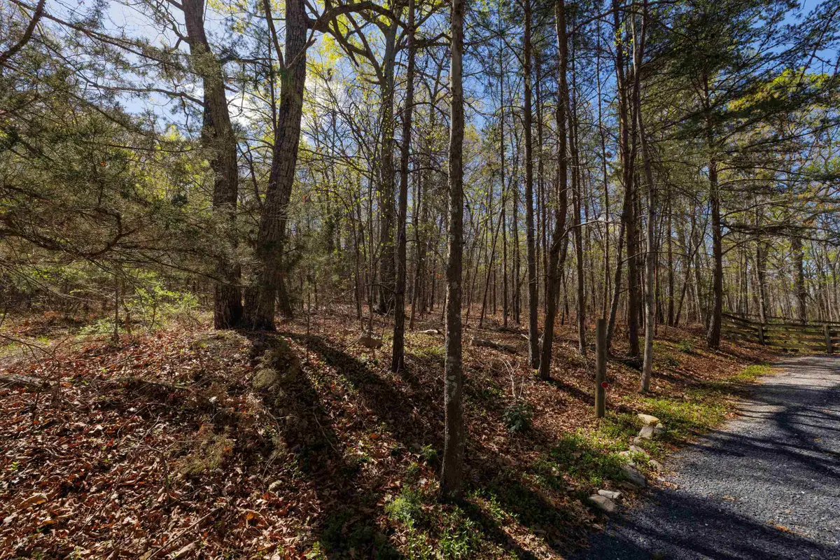 TBD Shotgun Spring Rd, New Market, VA 22844 - #1