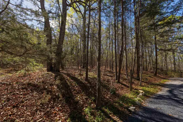 TBD Shotgun Spring Rd, New Market, VA 22844