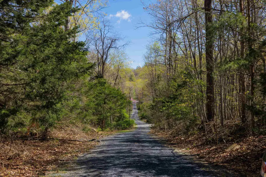 TBD Shotgun Spring Rd, New Market, VA 22844 - #2