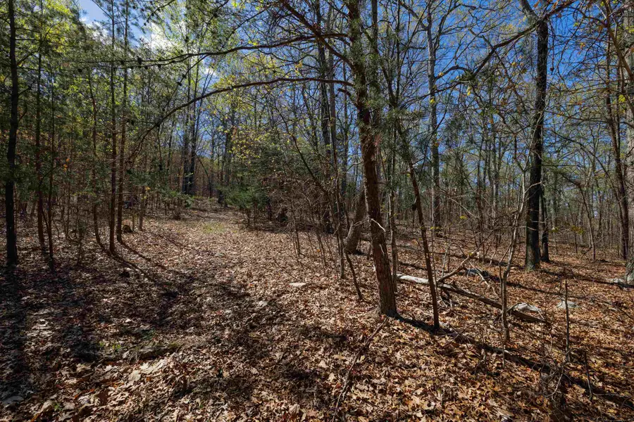 TBD Shotgun Spring Rd, New Market, VA 22844 - #3