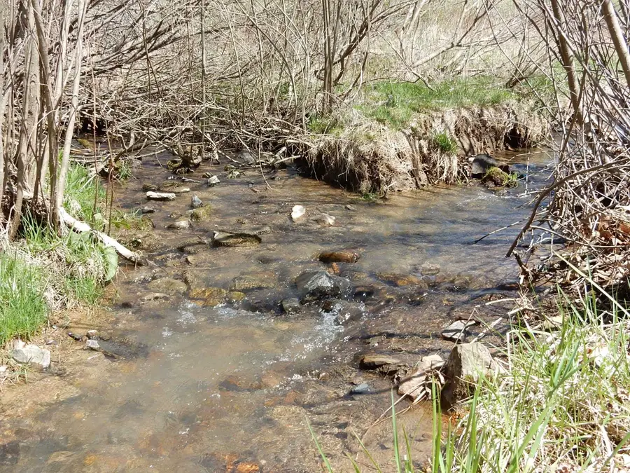 tbd Sam Snead Hwy, Warm Springs, VA 24484 - #3