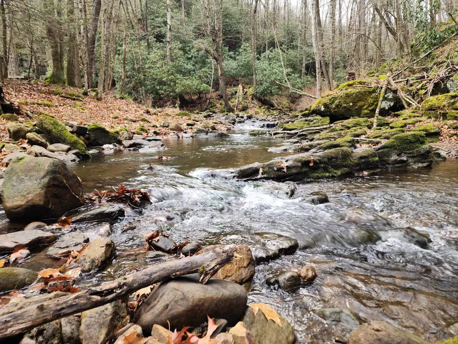 3763 Potomac River Rd, Monterey, VA 24465 - #2