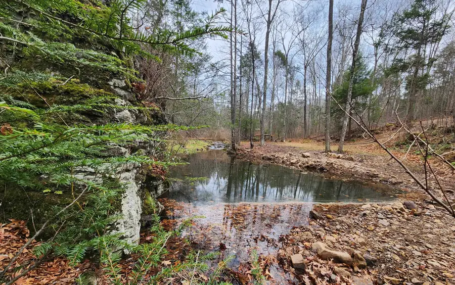 3763 Potomac River Rd, Monterey, VA 24465 - #3