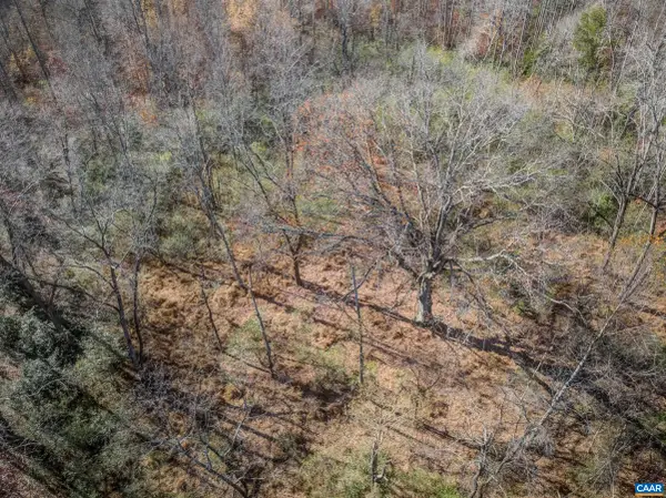 0 Porters Rd, Esmont, VA 22937