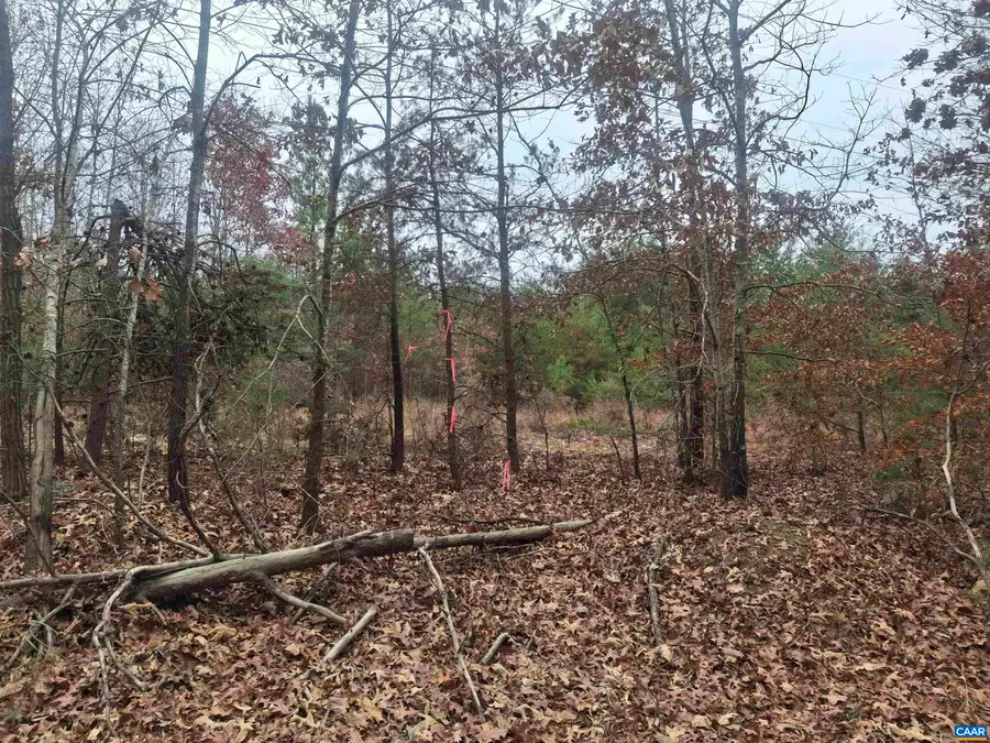0 Indian Pipe Run, Palmyra, VA 22963 - #3
