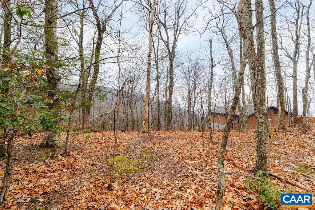 63 Gumtree Rd, Wintergreen Resort, VA 22967 - #1