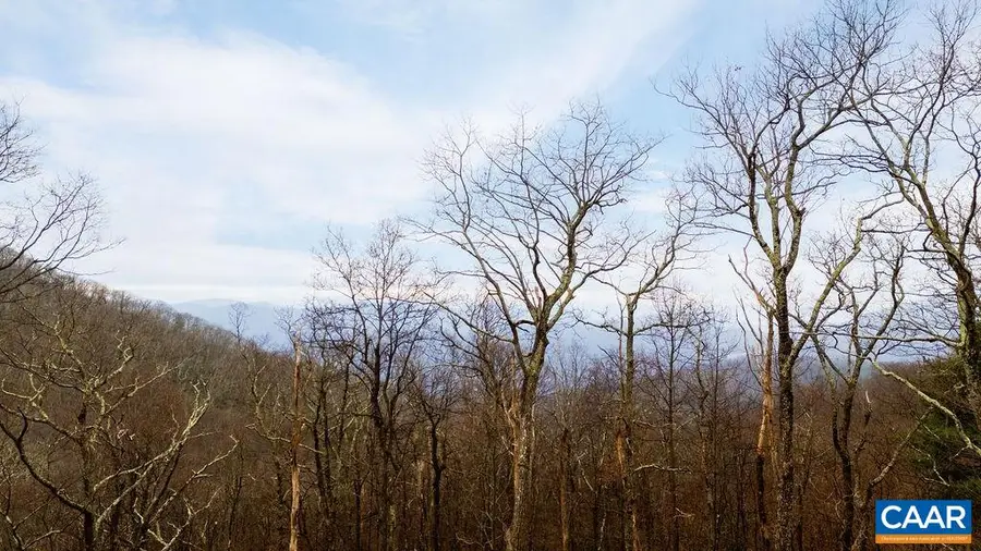 63 Gumtree Rd, Wintergreen Resort, VA 22967 - #2