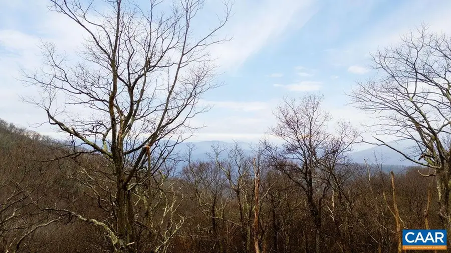 63 Gumtree Rd, Wintergreen Resort, VA 22967 - #3