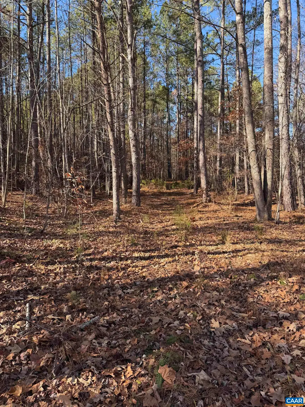 TBD Union Hill Dr, Wingina, VA 24599 - #1